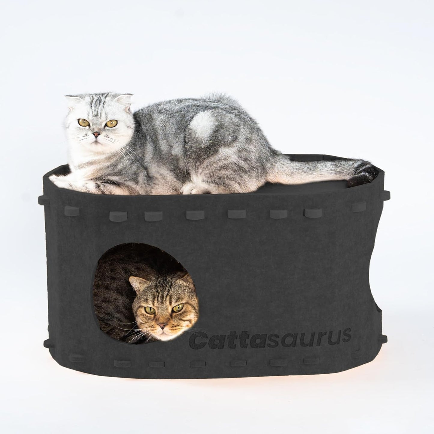 Peekaboo Bunk Bed