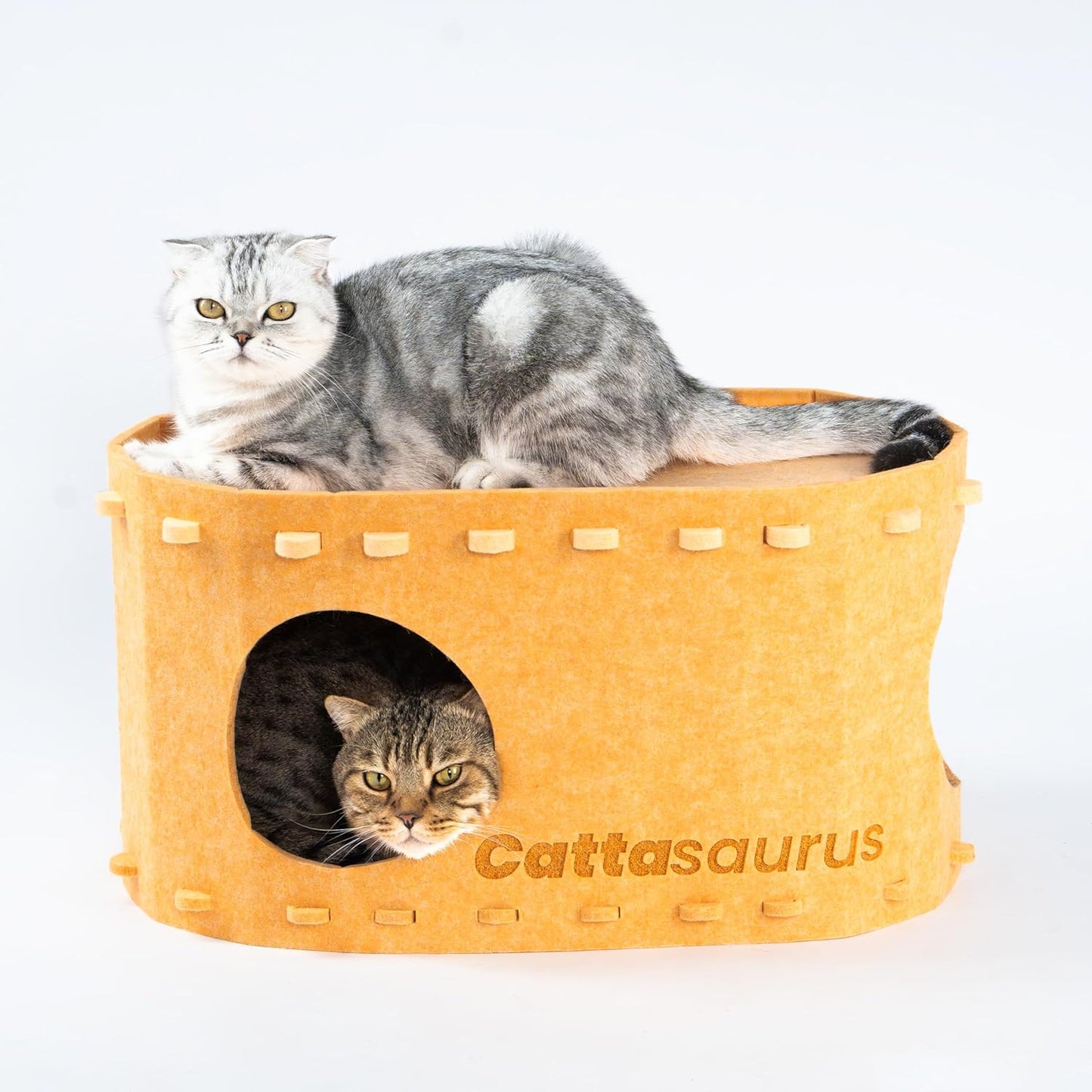 Peekaboo Bunk Bed