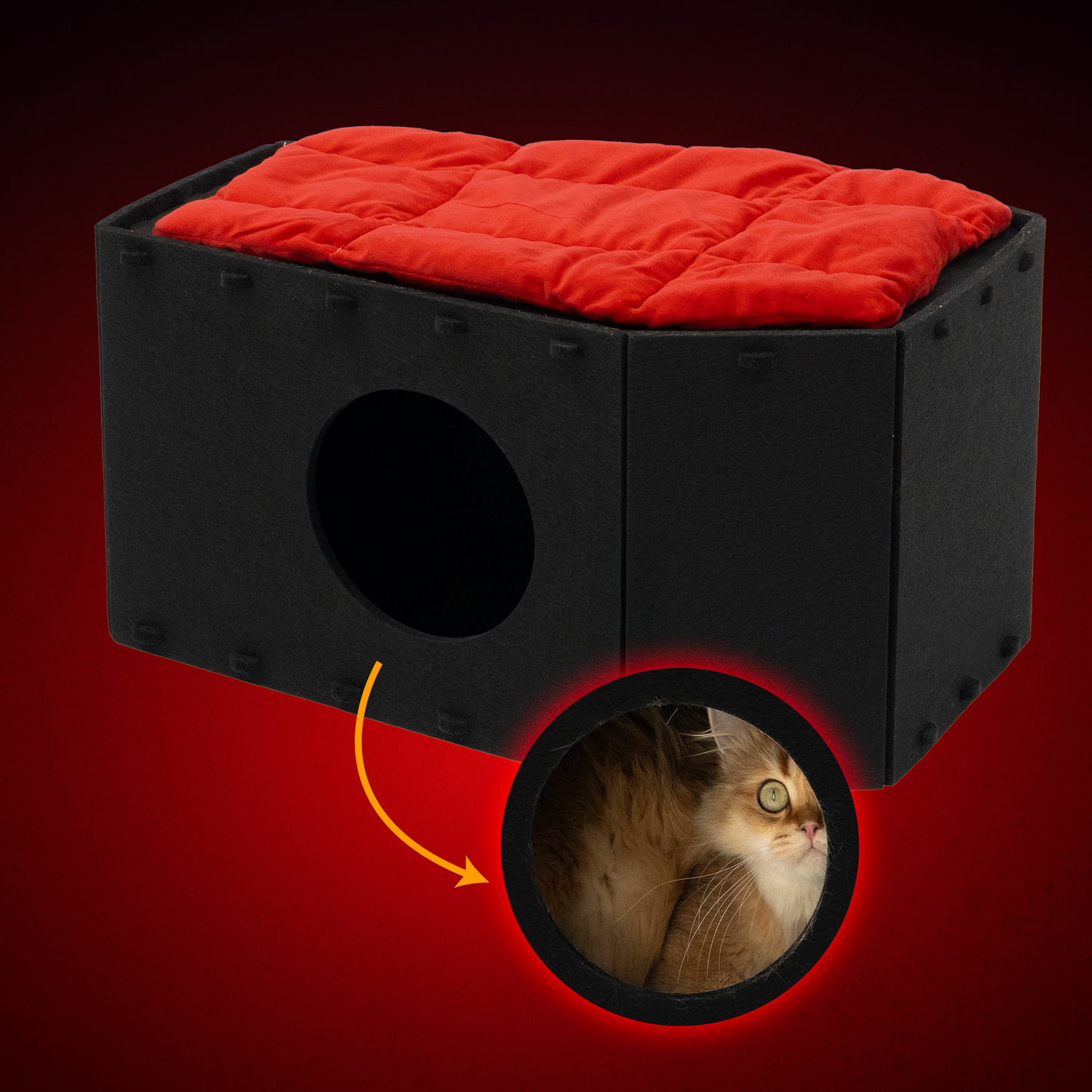 The Cattasaurus Coffin (Buy One Get One)