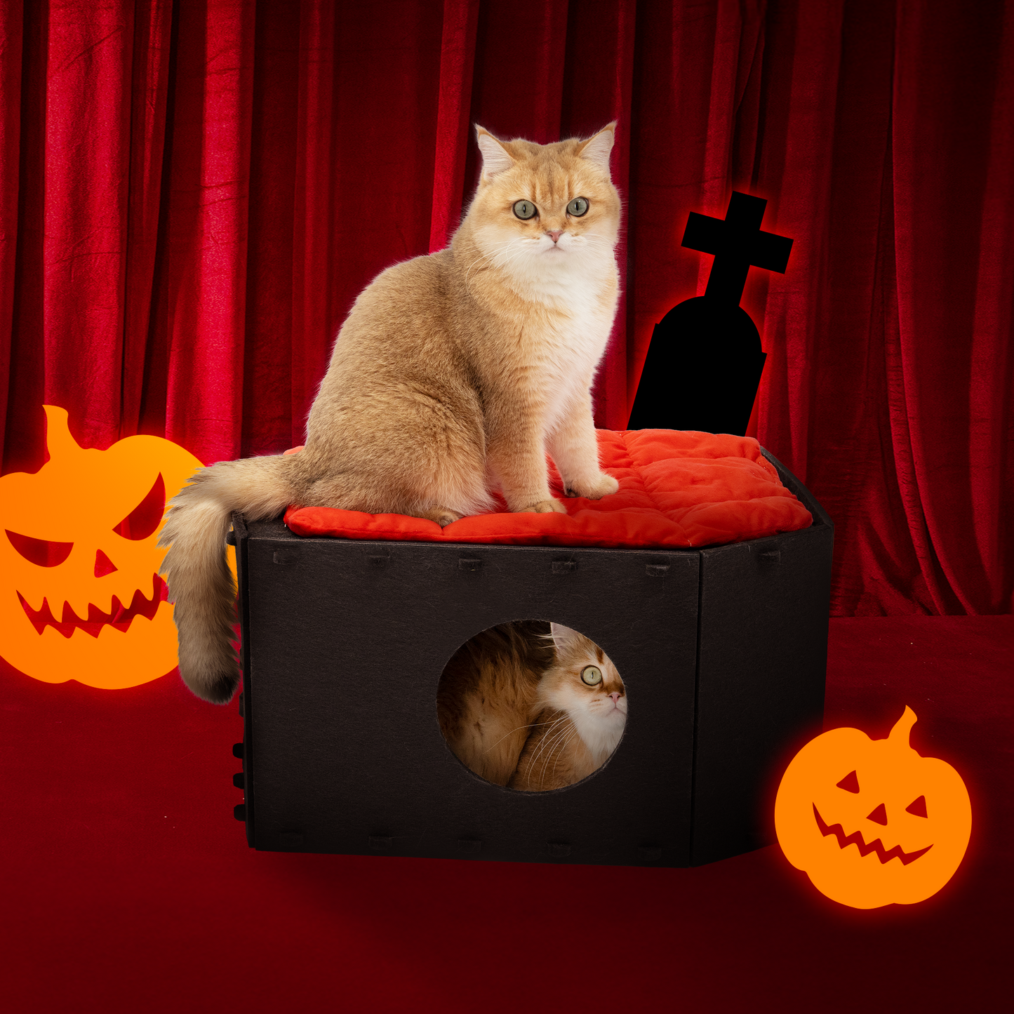 The Cattasaurus Coffin (Buy One Get One)