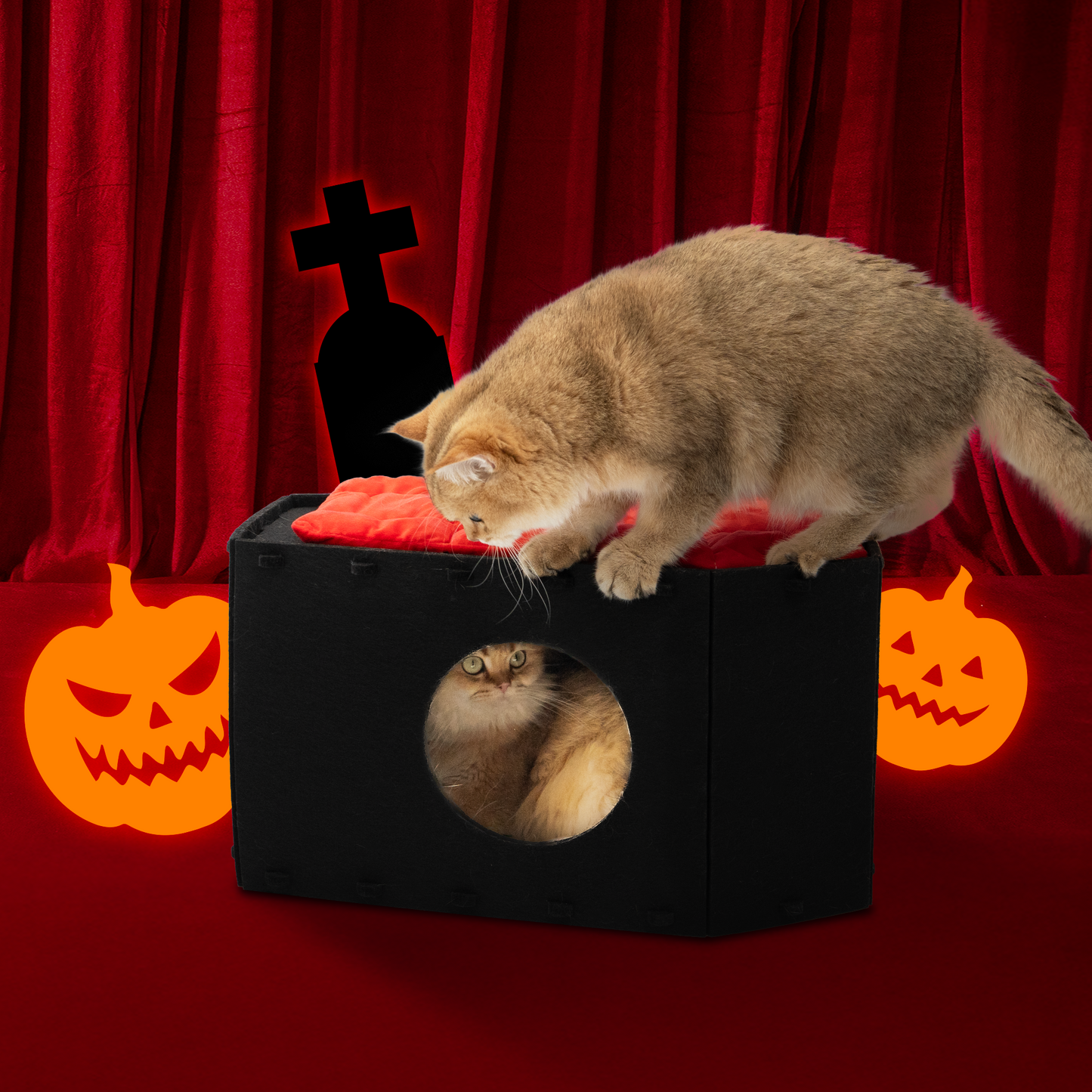The Cattasaurus Coffin (Buy One Get One)