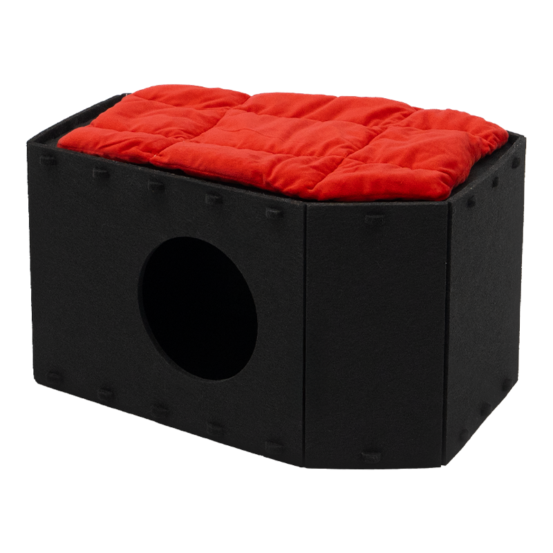 The Cattasaurus Coffin (Buy One Get One)
