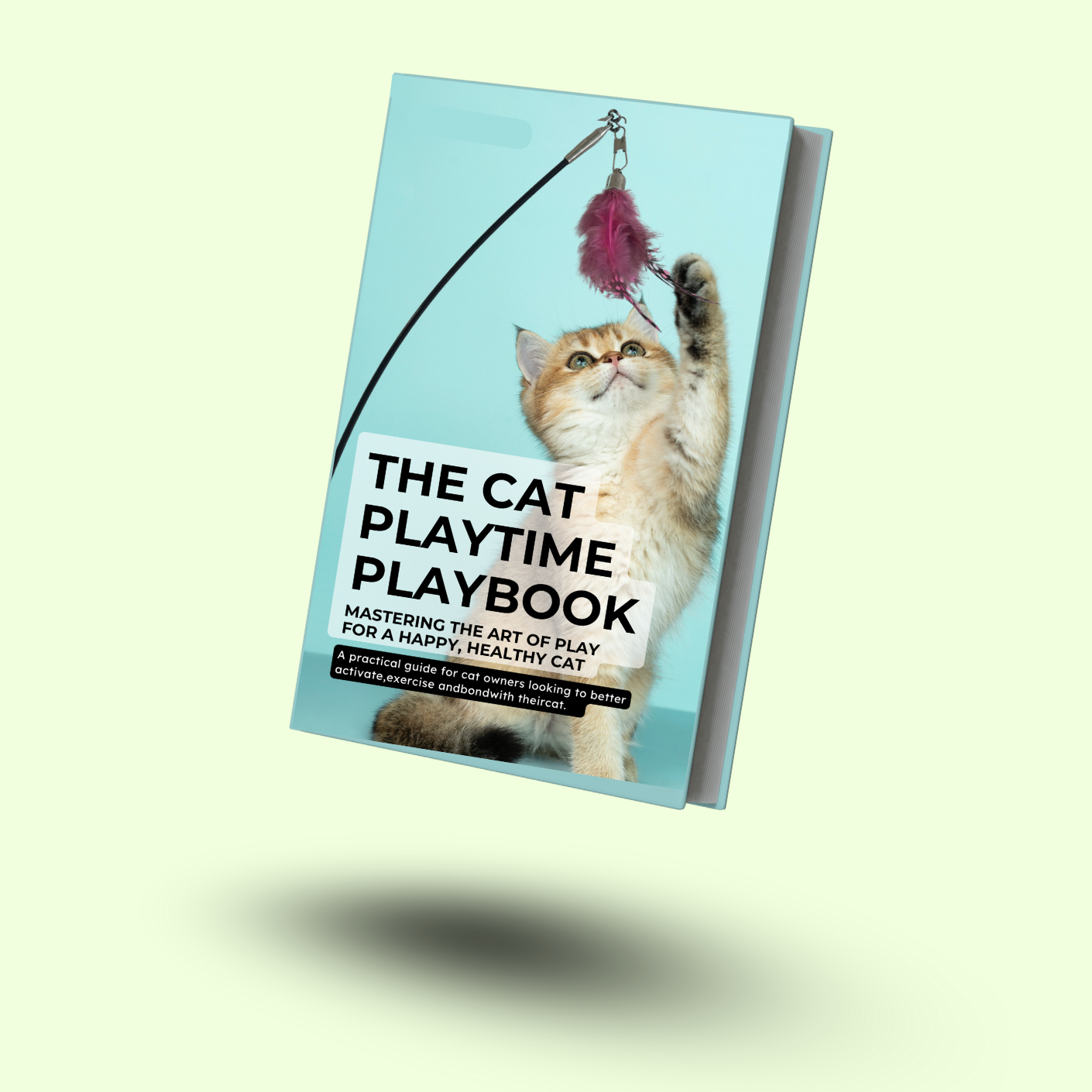 The Cat Playtime Playbook eBook