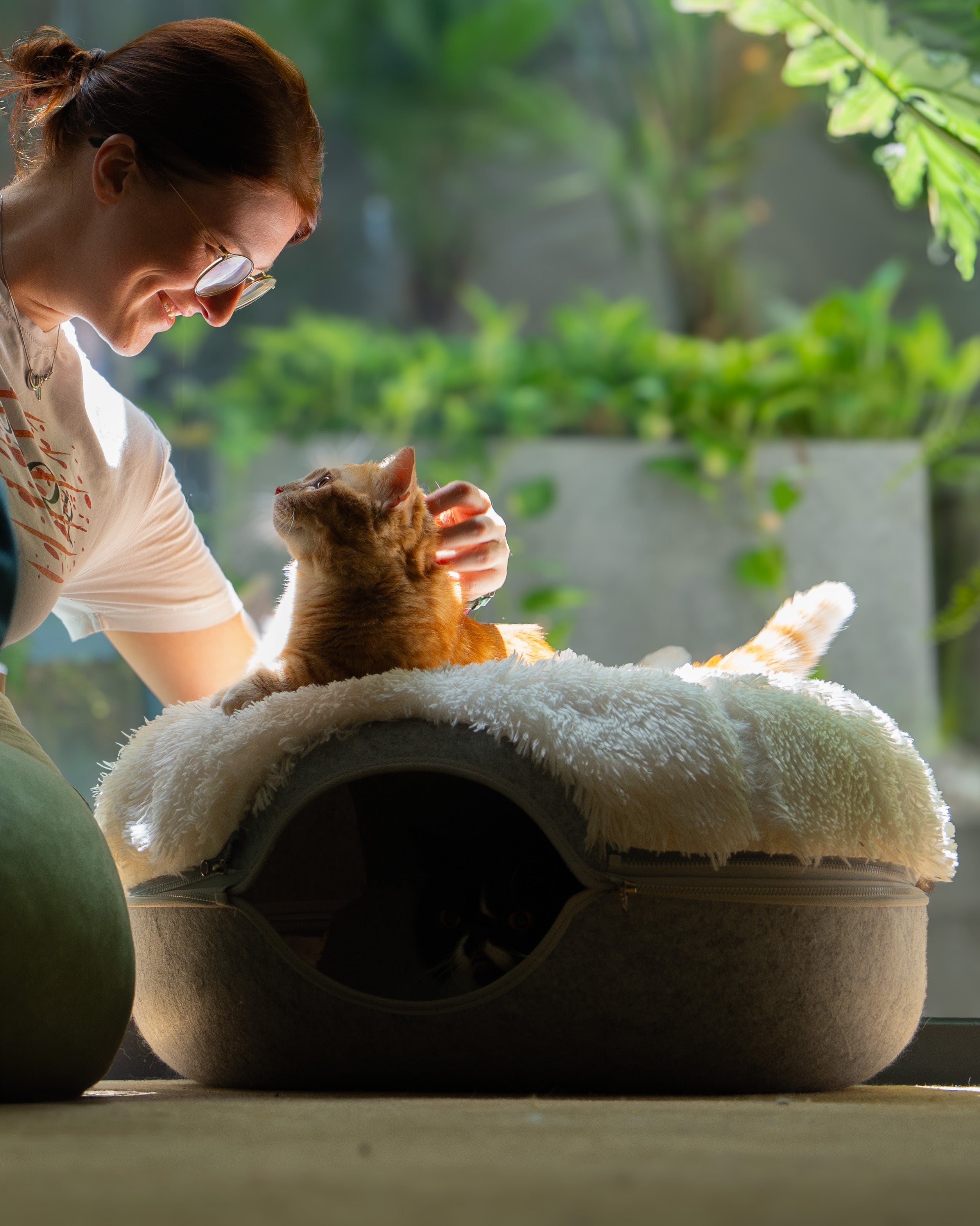 Cat Saurus Shop All – Cattasaurus
