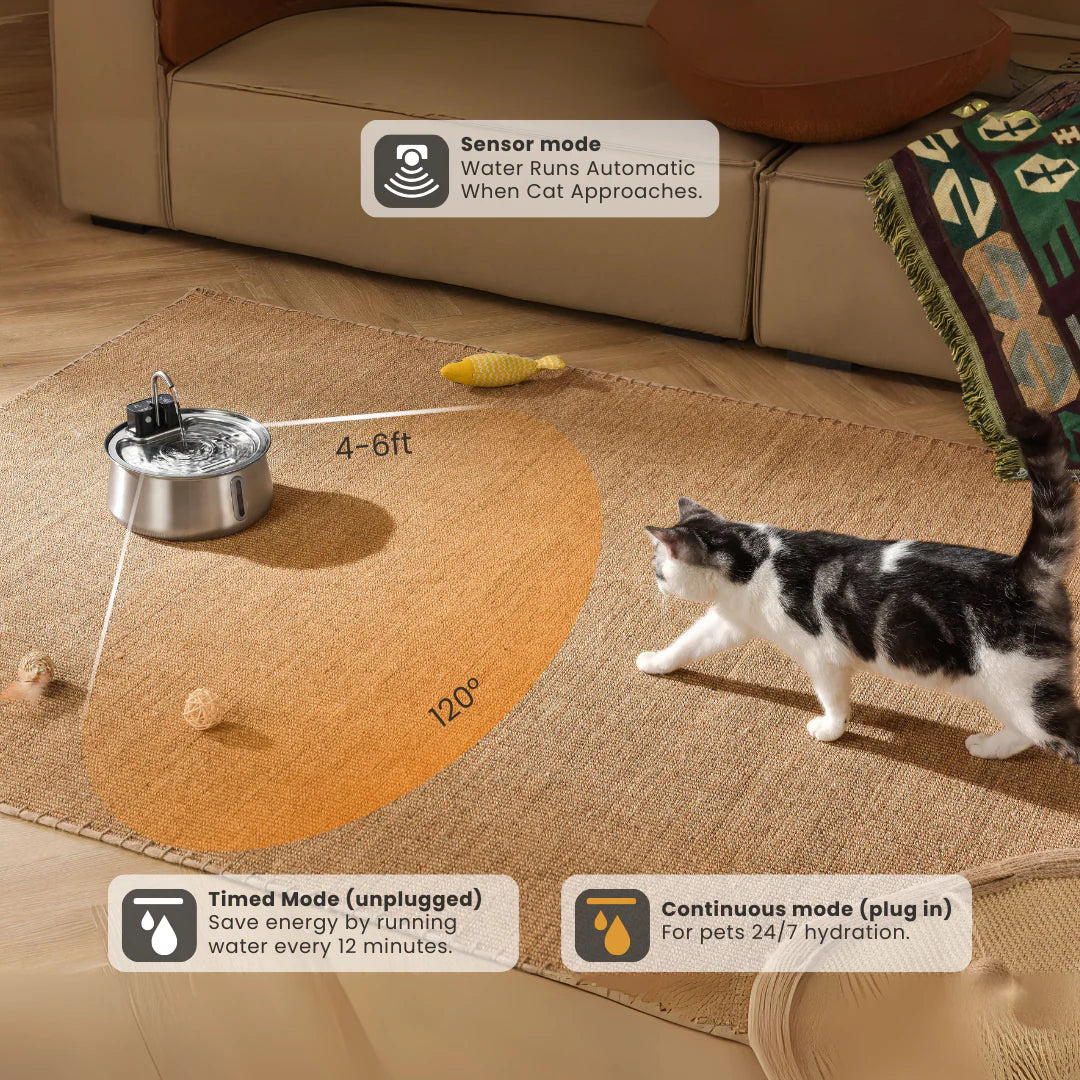 Cattasaurus Water Fountain