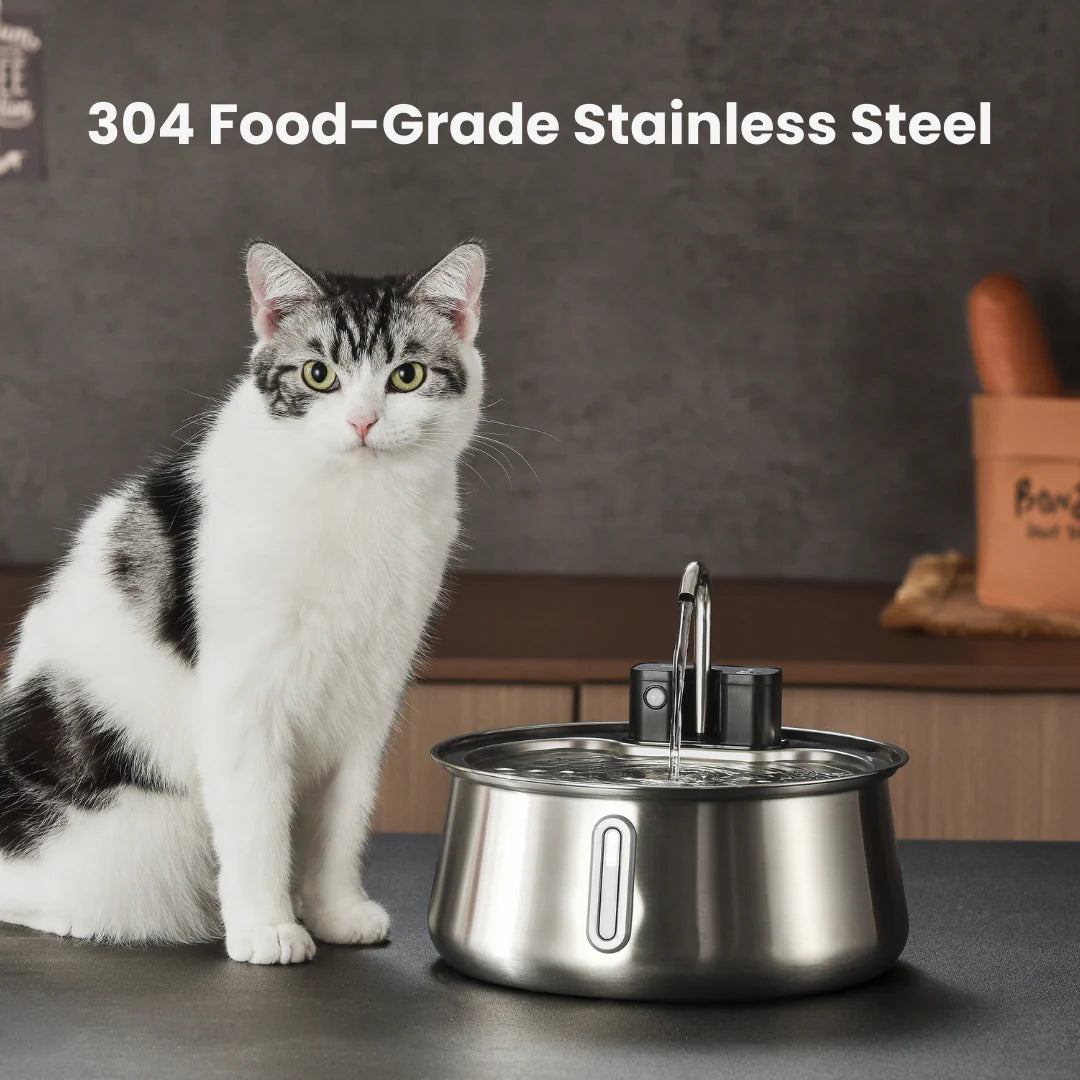 Cattasaurus Water Fountain