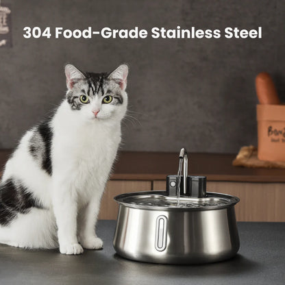 Cattasaurus Water Fountain