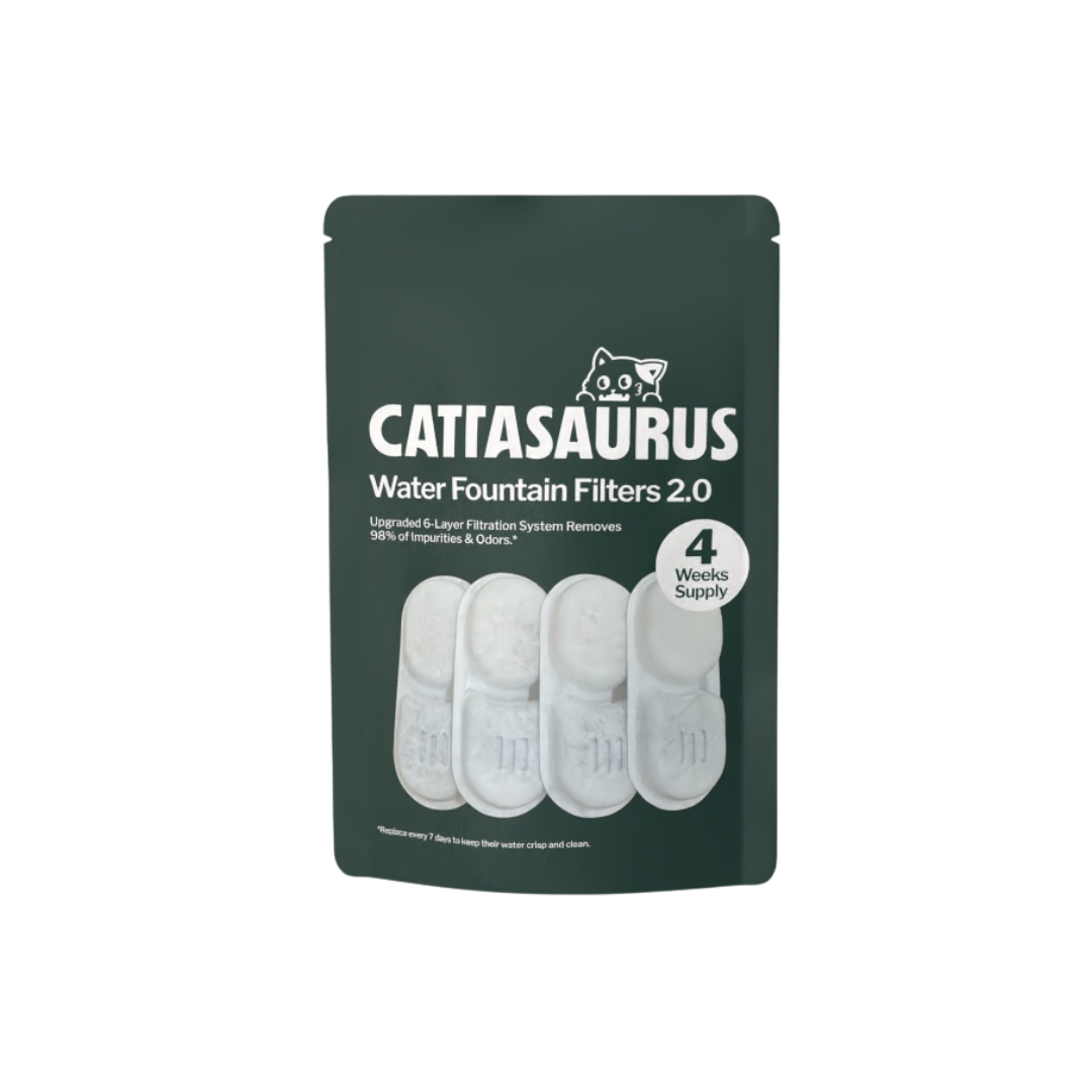 The Replacement Filters