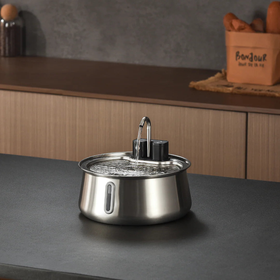 Cattasaurus Water Fountain