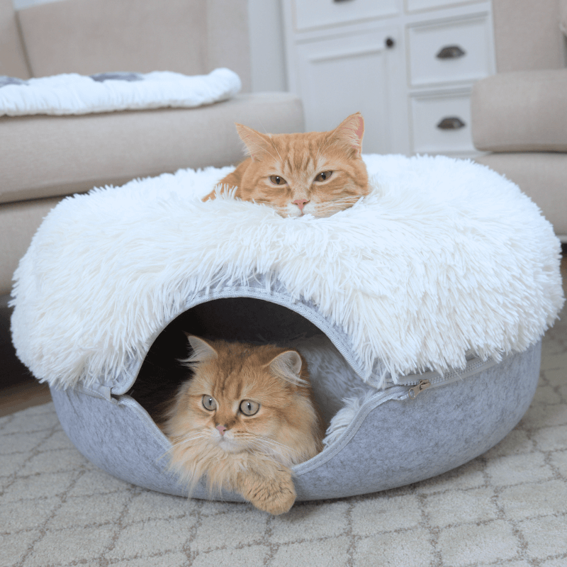 Cattasaurus™ Peekaboo Cave (Plus 2 Free Plush Covers)