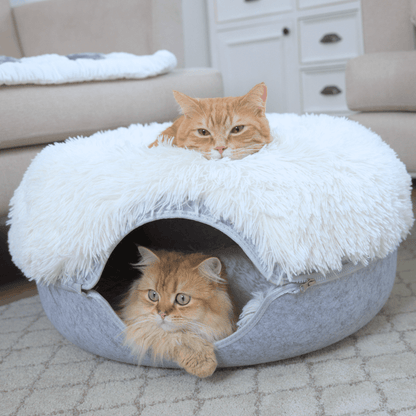 Cattasaurus™ Peekaboo Cave (Plus 2 Free Plush Covers)