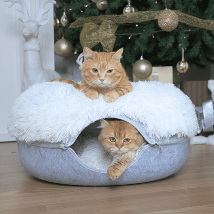 Cattasaurus™️ Calming Donut