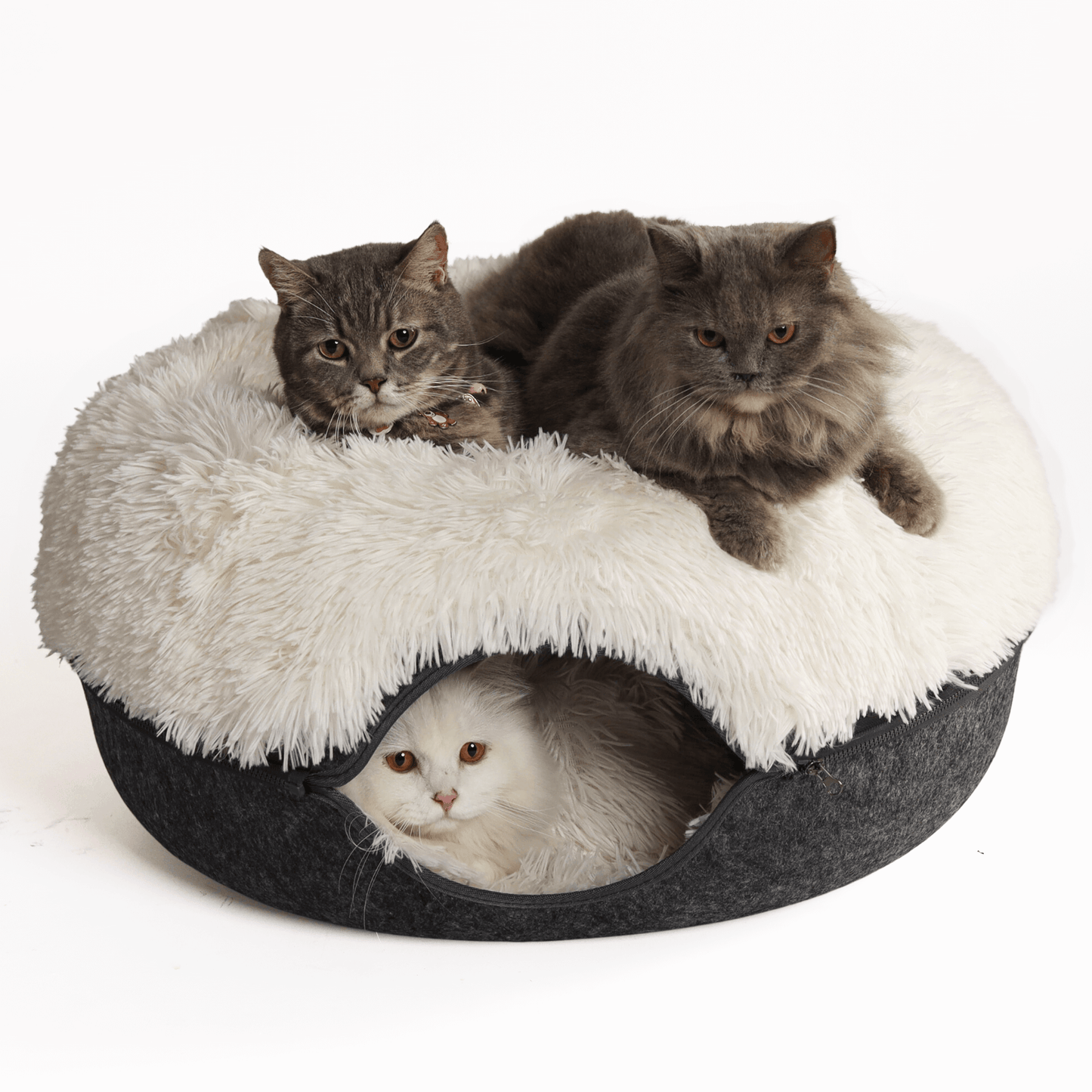 Cattasaurus™️ Calming Donut