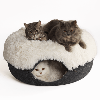 Cattasaurus™️ Calming Donut