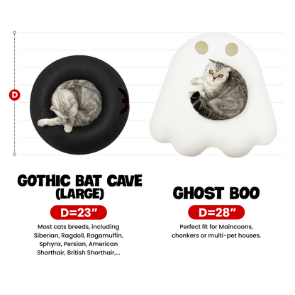 The Cattasaurus Peeka-BOO - (Pre-Order)