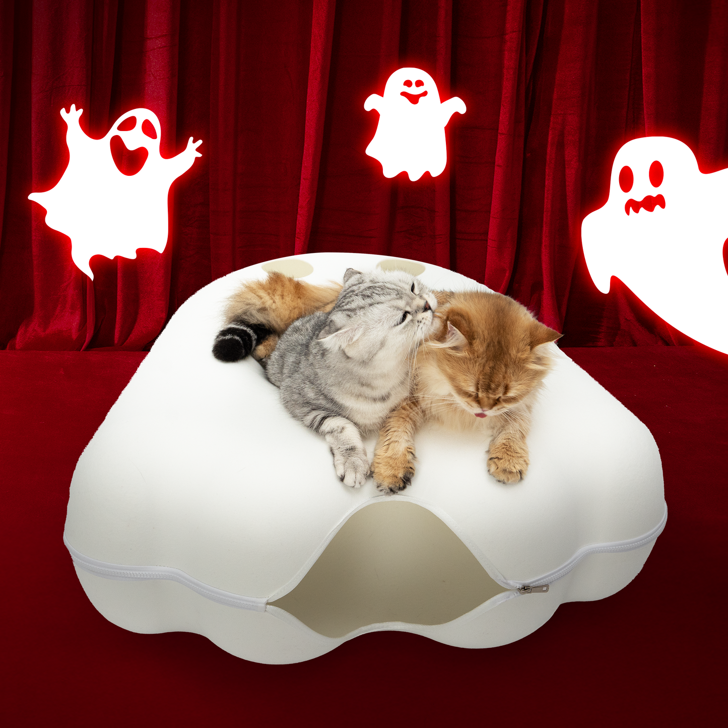 The Cattasaurus Peeka-BOO - (Pre-Order)
