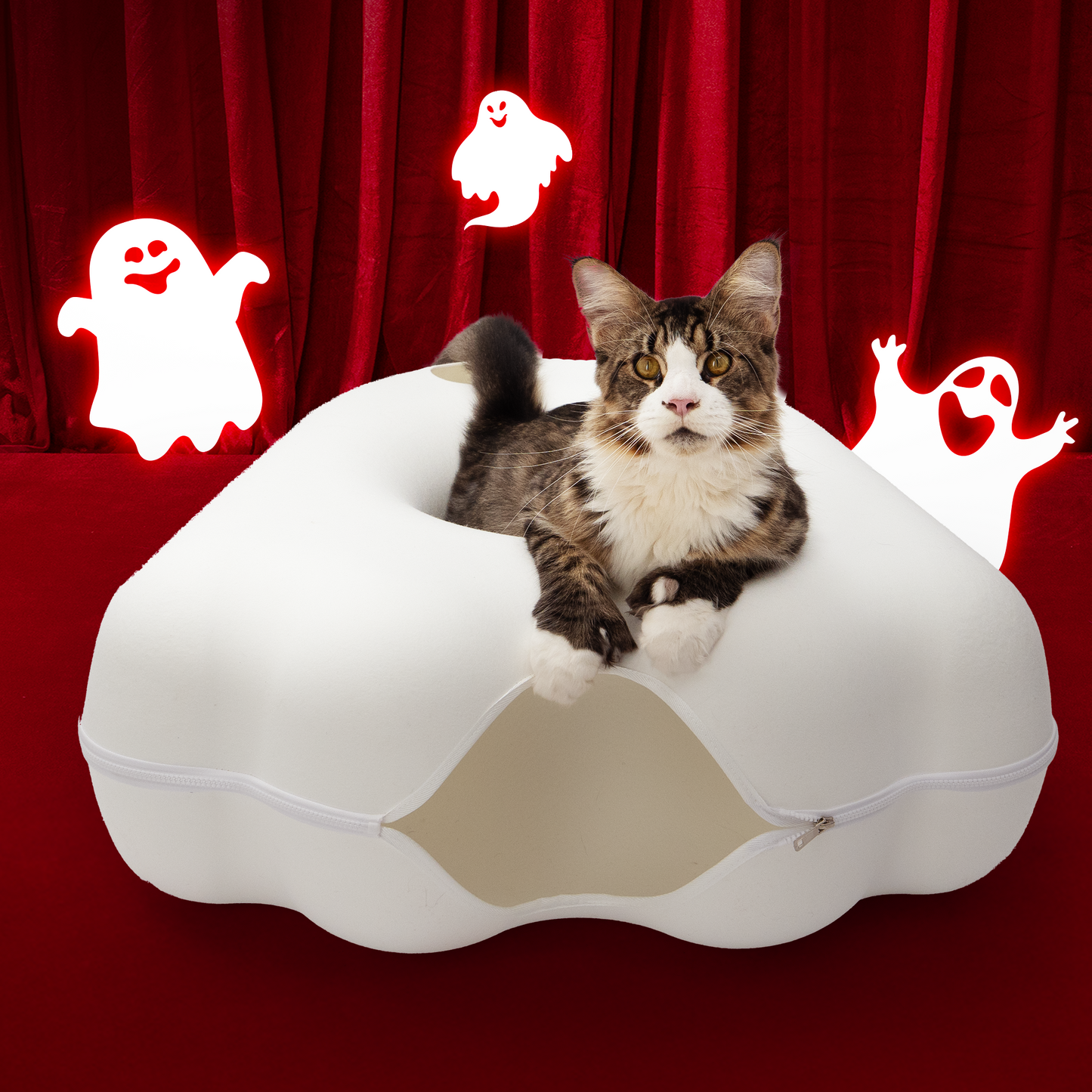 The Cattasaurus Peeka-BOO - (Pre-Order)