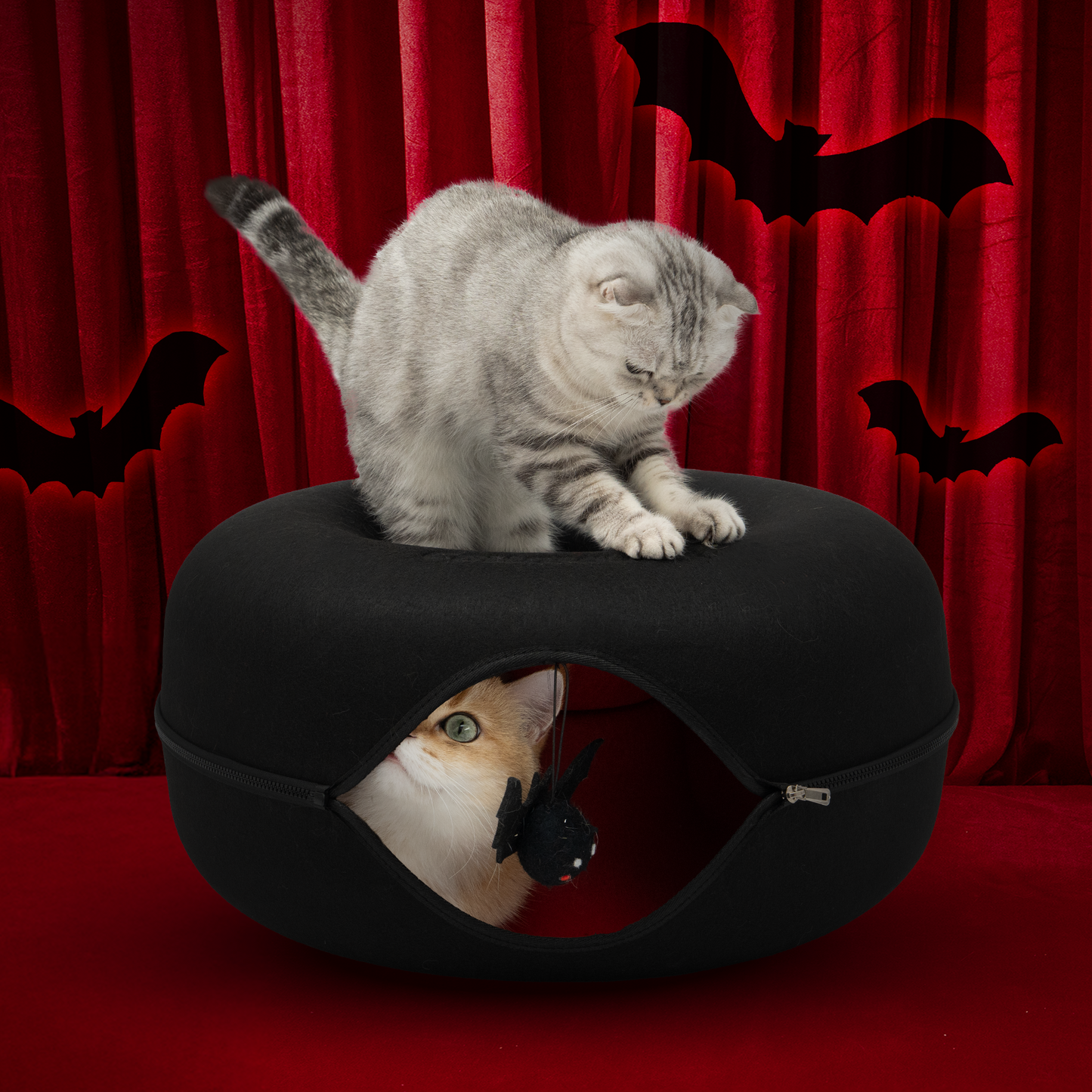 The Cattasaurus Bat Cave (Buy One Get One)