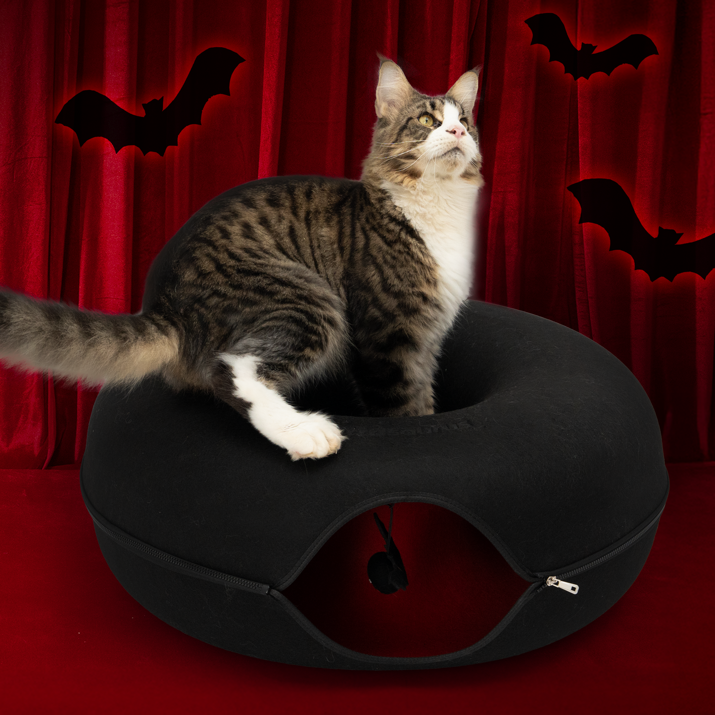 The Cattasaurus Bat Cave (Buy One Get One)