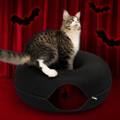 The Cattasaurus Bat Cave (Buy One Get One)