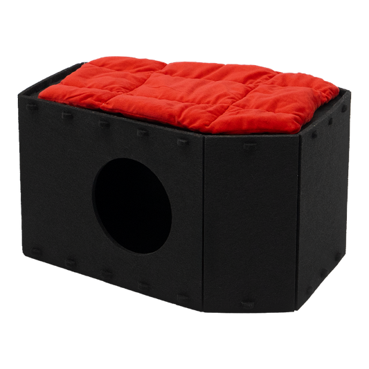 The Cattasaurus Coffin