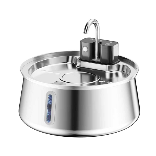 Cattasaurus Water Fountain (Gift - Forever Pumping Program)