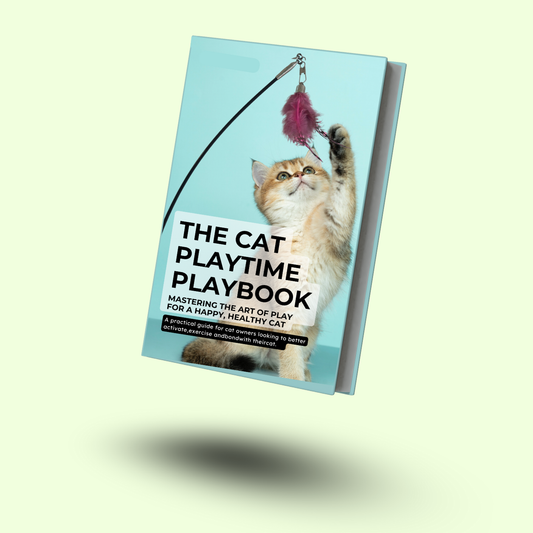 The Cat Playtime Playbook eBook