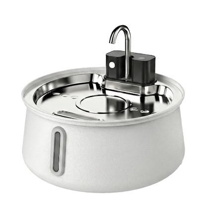 Cattasaurus Water Fountain (Pre-order)