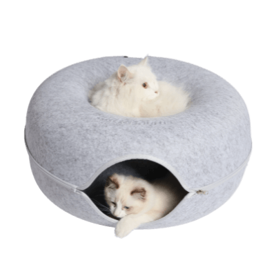 Cattasaurus™ Peekaboo Cave - Jumbo - (Buy 1 Get 2 FREE)