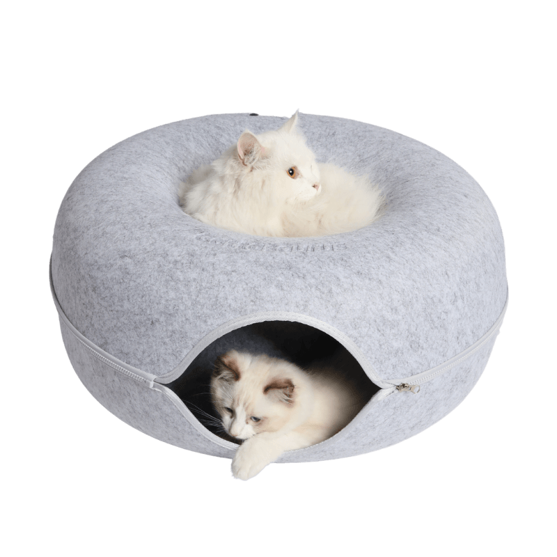Two fluffy white cats in a round, felt cat bed, one on top and one inside.